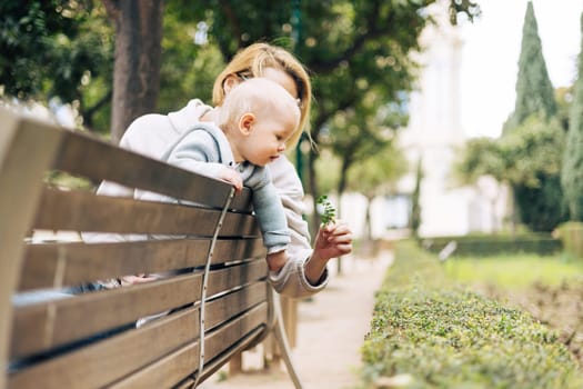 Young mother with her cute infant baby boy child leaning over back of wooden bench towards bushes in city park, holding and observing green plant with young leaves and learn about life and nature