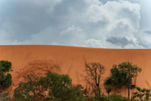 A stunning nature landscape featuring a sandy dune towering over the green jungle, with a cloudy sky providing a dramatic backdrop. Space for text.