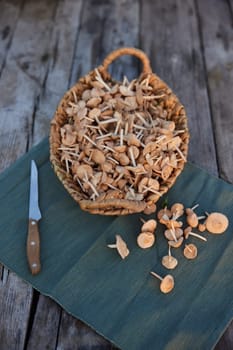 photograph of a basket with mushrooms and a nearby knife. High quality photo