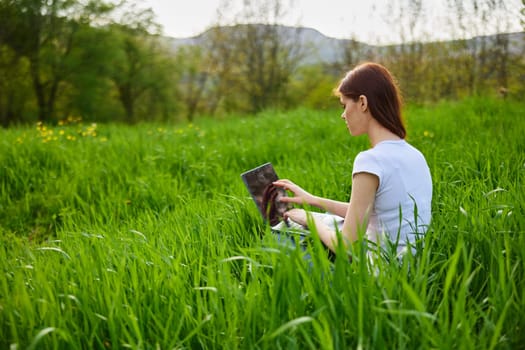 a woman works at a laptop while sitting in high green grass in nature, on a sunny summer day. High quality photo