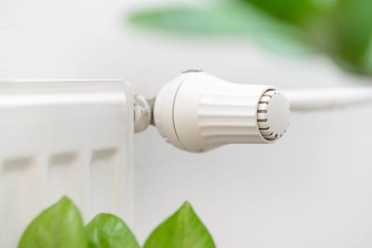 Thermostat on the battery to regulate heat and green leaves of the plant. Raising prices for heating, gas, water and energy resources