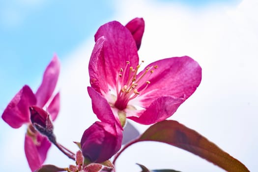 the season after winter and before summer, in which vegetation begins to appear