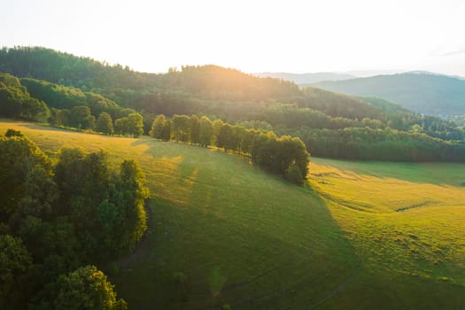 Bright sunset light breaks through treetops in highland with dense vegetation. Green trees grow in forest on hills at twilight aerial view