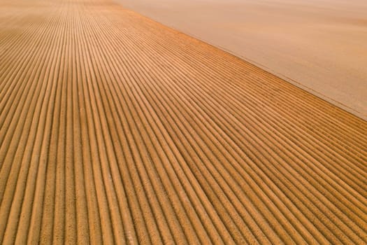 Aerial view of the agricultural field with furrows on soil at sunset