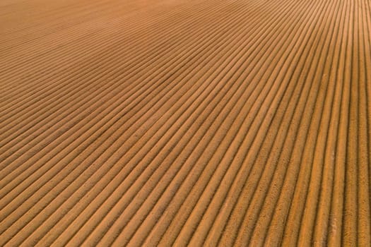 Aerial view of the agricultural field with furrows on soil at sunset