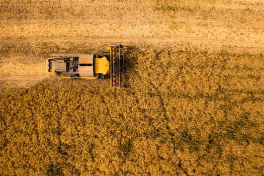 Top view of a combine harvester harvesting wheat from a field.
