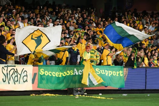 MELBOURNE, AUSTRALIA - MARCH 28: Fans during an International Friendly match between the Australia Socceroos and Ecuador at Marvel Stadium on March 28, 2023 in Melbourne, Australia.