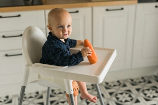 Happy baby sitting in high chair eating carrot in kitchen. Healthy nutrition for kids. Bio carrot as first solid food for infant. Children eat vegetables. Little boy biting raw vegetable