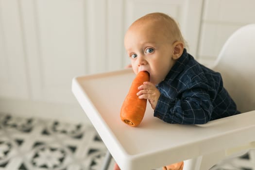 Happy baby sitting in high chair eating carrot in kitchen. Healthy nutrition for kids. Bio carrot as first solid food for infant. Children eat vegetables. Little boy biting raw vegetable