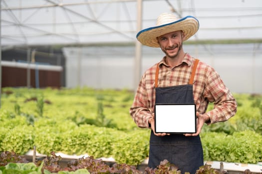 Male farmer in apron holding digital tablet with empty screen standing in hydroponic greenhouse.