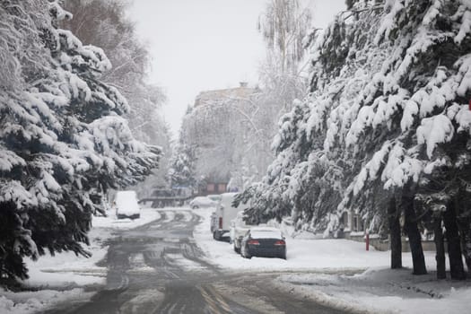 There are tall trees on both sides of the estate street. It is winter and there is heavy snowfall. Snow has covered the trees, cars, street and sidewalks. A residential block can be seen in the distance.