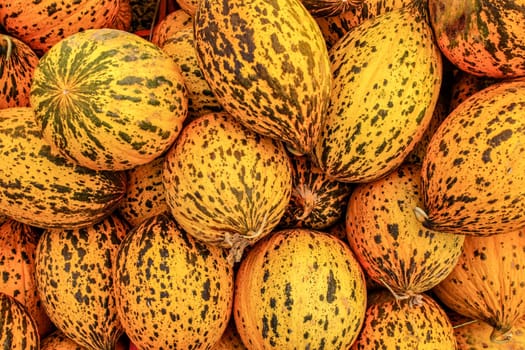 Spotted Turkish yellow melons (Kavun) displayed on food market in Kyrenia, Northern Cyprus