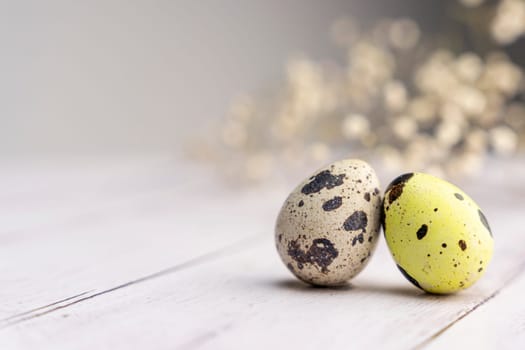 easter eggs and a branch of gypsophila on a light background. Easter greeting card. space for copying. close-up of quail eggs.