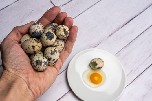 A handful of fresh quail eggs in a person's hand, yolk and white on a white plate surrounded by many eggs. Bright festive background. Close-up. Healthy eating.