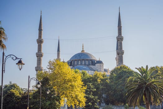 The Blue Mosque, Sultanahmet Camii Istanbul Turkey.