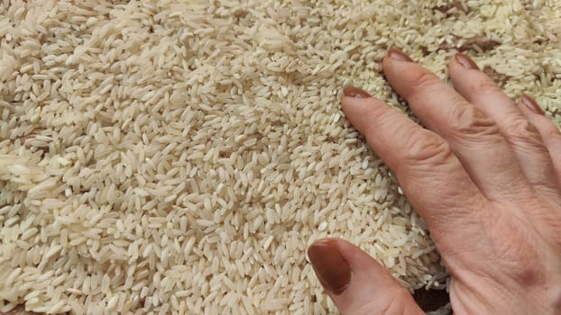 White cereals rice and hand of woman in it. Food for background and texture. Product and food which can be stored for a long time. Partial focus