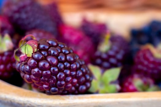 closeup of natural blackberry in a hearty bowl of blackberries. High quality photo