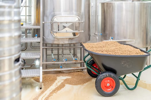 malt for brewing beer in a brewery. High quality photo