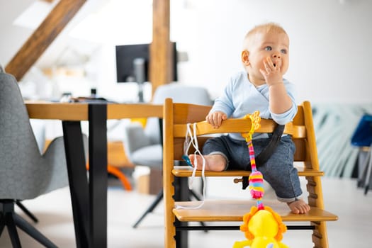 Happy infant sitting and playing with his toy in traditional scandinavian designer wooden high chair in modern bright atic home. Cute baby