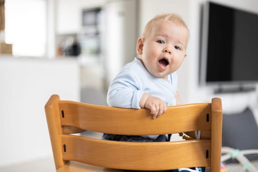 Happy infant sitting in traditional scandinavian designer wooden high chair in modern bright home. Cute baby