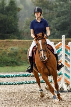 Young horse rider girl on show jumping course in equestrian sports competition. Vertical photo.