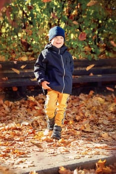 Kid play in autumn park. Child throwing yellow leaves. Child boy with oak and maple leaf. Fall foliage. Family outdoor fun in autumn. Toddler or preschooler in fall.