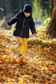 A cute boy in a sunny autumn park covered with a thick layer of yellow maple leaves going down from hill.