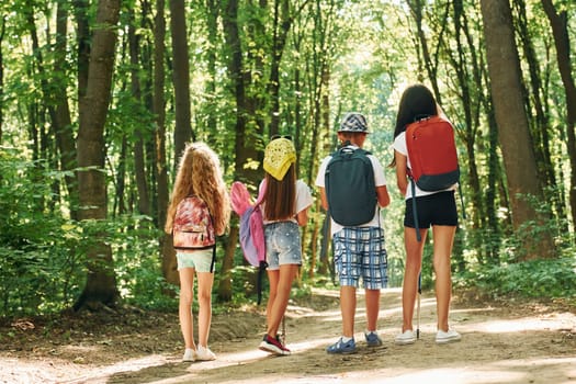 Looking for a path. Kids strolling in the forest with travel equipment.