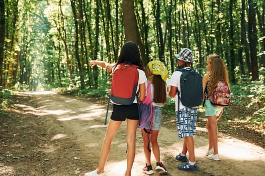 Looking for a path. Kids strolling in the forest with travel equipment.