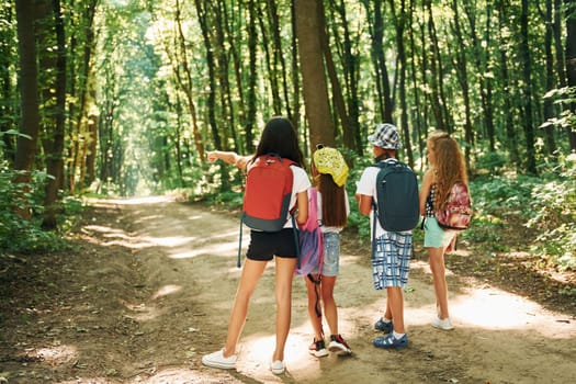 Summertime weekend. Kids strolling in the forest with travel equipment.