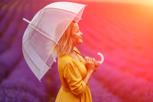 A middle-aged woman in a lavender field walks under an umbrella on a rainy day and enjoys aromatherapy. Aromatherapy concept, lavender oil, photo session in lavender.