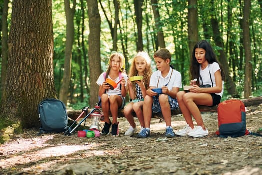 Beautiful nature. Kids strolling in the forest with travel equipment.