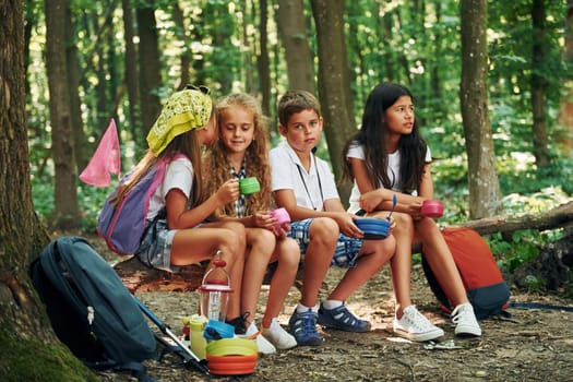 Sitting in the camp. Kids strolling in the forest with travel equipment.