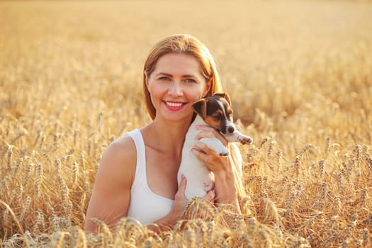 Young woman holding Jack Russell terrier puppy on her hands, sunset lit wheat field behind her.