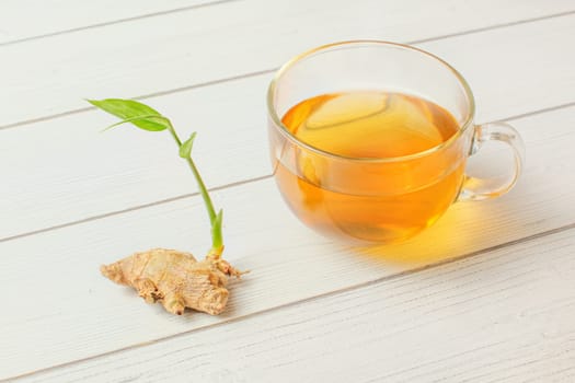 Freshly brewed amber hot tea, dry ginger root with green spring next to it on white boards desk