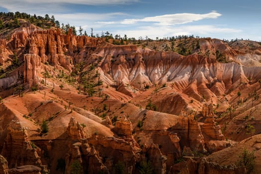 Bryce Canyon Hiking in early morning