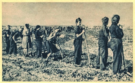 EAST EUROPE - 1944: Women and young girls work on the field in liberated area by Red Army.