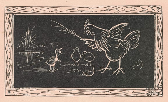 Black and white antique illustration shows a hen and chickens drawn on a blackboard. Vintage drawing shows the hen and its chickens drawn on the blackboard. Old picture from fairy tale book. Storybook illustration published 1910. A fairy tale, fairytale, wonder tale, magic tale, fairy story or Marchen is an instance of folklore genre that takes the form of a short story. Such stories typically feature mythical entities such as dwarfs, dragons, elves, fairies and Peris, giants, Divs, gnomes, goblins, griffins, mermaids, talking animals, trolls, unicorns, or witches, and usually magic or enchantments.