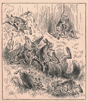 Black and white antique illustration shows a group of hares dances on a meadow. Vintage drawing shows the jackrabbits in the forest. Old picture from fairy tale book. Storybook illustration published 1910. A fairy tale, fairytale, wonder tale, magic tale, fairy story or Marchen is an instance of folklore genre that takes the form of a short story. Such stories typically feature mythical entities such as dwarfs, dragons, elves, fairies and Peris, giants, Divs, gnomes, goblins, griffins, mermaids, talking animals, trolls, unicorns, or witches, and usually magic or enchantments.