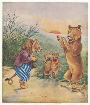 Colorful antique illustration shows a cute lion's family. Vintage drawing shows a happy lion's family. Old picture from fairy tale book. Storybook illustration published 1910. A fairy tale, fairytale, wonder tale, magic tale, fairy story or Marchen is an instance of folklore genre that takes the form of a short story. Such stories typically feature mythical entities such as dwarfs, dragons, elves, fairies and Peris, giants, Divs, gnomes, goblins, griffins, mermaids, talking animals, trolls, unicorns, or witches, and usually magic or enchantments.