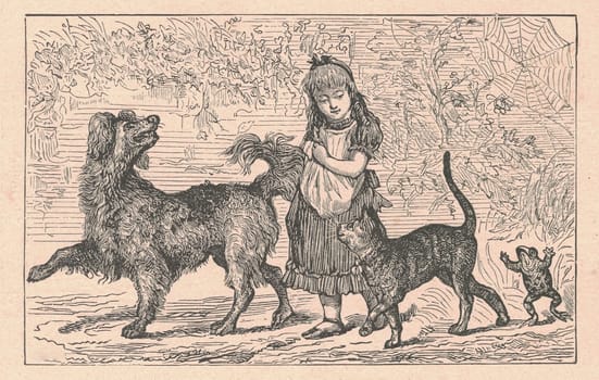 Black and white antique illustration shows a girl goes for a walk with a dog, cat and frog. Vintage drawing shows the girl goes for a walk with animals. Old picture from fairy tale book. Storybook illustration published 1910. A fairy tale, fairytale, wonder tale, magic tale, fairy story or Marchen is an instance of folklore genre that takes the form of a short story. Such stories typically feature mythical entities such as dwarfs, dragons, elves, fairies and Peris, giants, Divs, gnomes, goblins, griffins, mermaids, talking animals, trolls, unicorns, or witches, and usually magic or enchantments.