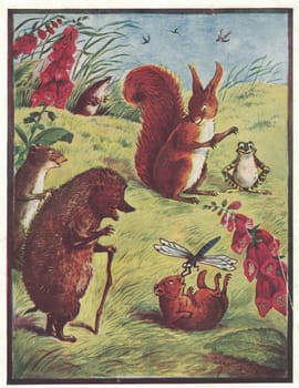 Colorful antique illustration shows an animal family - hedgehog, squirrel, frog on the meadow. Vintage drawing shows an aniamal family - hedgehog, squirrel, frog on the meadow. Storybook illustration published 1910. A fairy tale, fairytale, wonder tale, magic tale, fairy story or Marchen is an instance of folklore genre that takes the form of a short story. Such stories typically feature mythical entities such as dwarfs, dragons, elves, fairies and Peris, giants, Divs, gnomes, goblins, griffins, mermaids, talking animals, trolls, unicorns, or witches, and usually magic or enchantments.