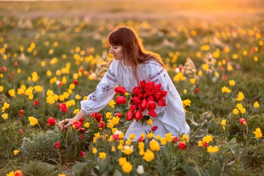 Woman field tulips sunset. Woman against sunset and wild tulip flowers, natural seasonal background. Multi-colored tulips Tulipa schrenkii in their natural habitat are listed in the Red Book