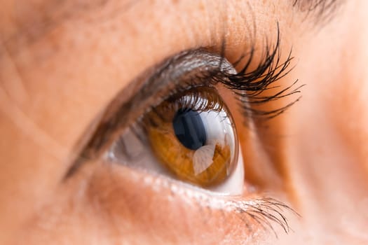 Close up of brown eye with painted eyelashes.