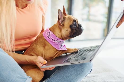 Using laptop. Woman with pug dog is at home at daytime.