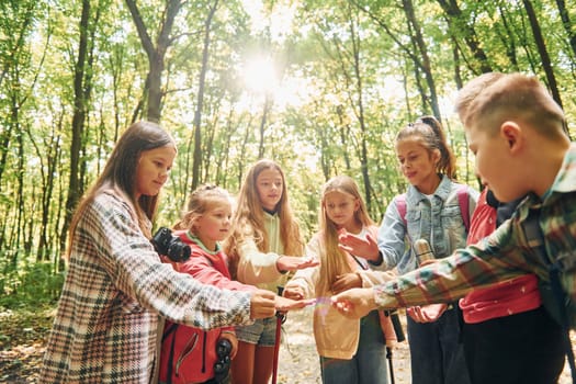 Using map. Kids in green forest at summer daytime together.