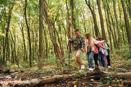 Walking on the log. Kids in green forest at summer daytime together.