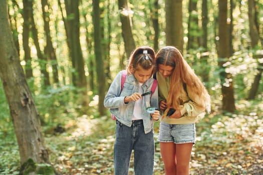 Two girls in green forest at summer daytime together.