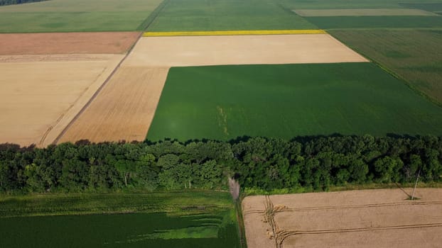 Agricultural fields. Yellow and green agricultural fields with ripe wheat and other different agricultural crops. Aerial drone view. Harvesting agrarian land. Growing cultivation agricultural crops.