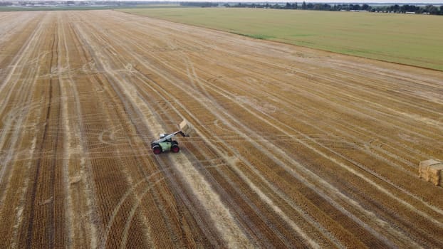 Cleaning straw stacks in field after harvest. Tractor gathering stacks of straw after harvesting wheat on summer evening. Aerial drone view. Field of mowed spike of cereals. Field harvest, harvesting